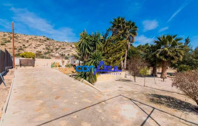 CHALET  A  UN PASO DE ELCHE, PLAYAS Y AEROPUERTO — 39
