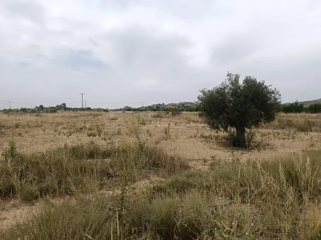 Terreno rural en venta - Sangonera la Seca - foto 3