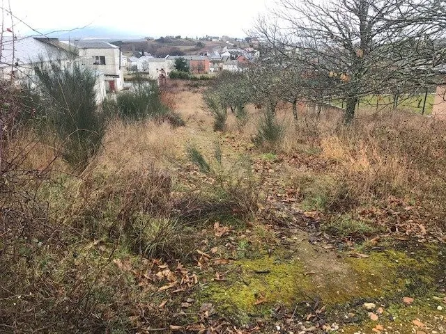 SOLAR EN VENTA EN CABAÑAS RARAS CON 43 METROS DE FACHADA A C - foto 2