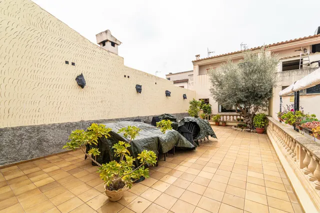 Restaurante de 541m2 en pleno funcionamiento en Maria de la Salud — 24