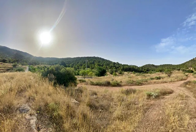 FINCA DE 6 Hectáreas con CASA CORTIJO para reformar — 7