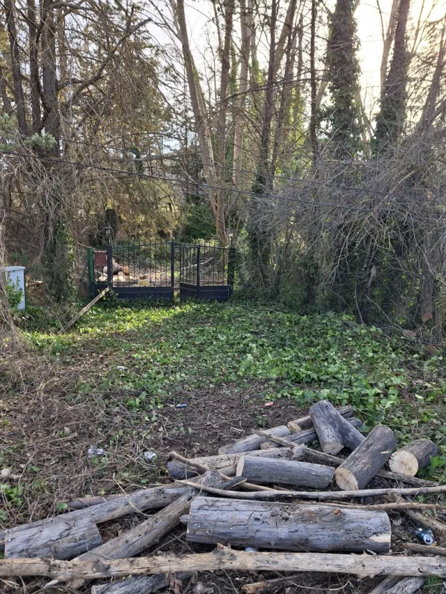 Finca con vivienda para venta — 20