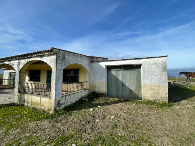 TERRENO DE 30 HECTÁREAS CON VIVIENDA DE UNOS 50 METROS ENTRE CÁCERES Y MALPARTIDA DE CÁCERES — 11