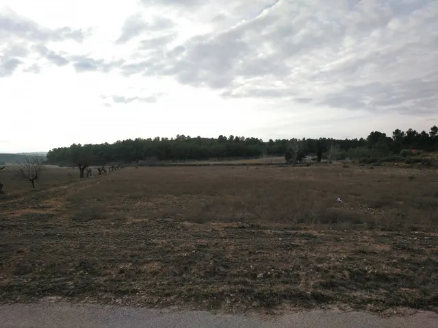EXCELENTE PARCELA EN PARAJE DE LOS ESPETONES — 3