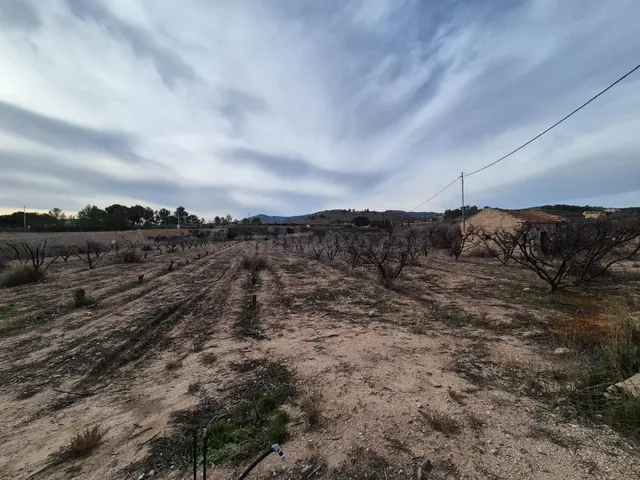 TERRENOS EN VENTA - foto 4