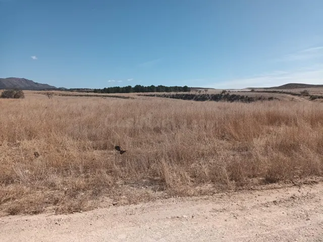 PARCELA EN LA PACA