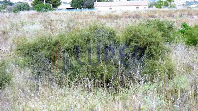 Se vende Terreno Rustico en Alicante en la zona de Verdegas, - foto 5