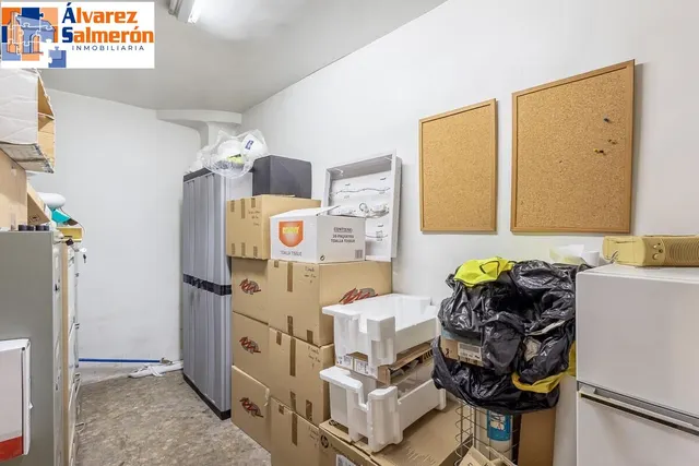 EXCLUSIVO INMUEBLE EN PLAZA DE CARRETAS, JUNTO AL EMBLEMÁTICO PASEO DEL SALÓN — 18