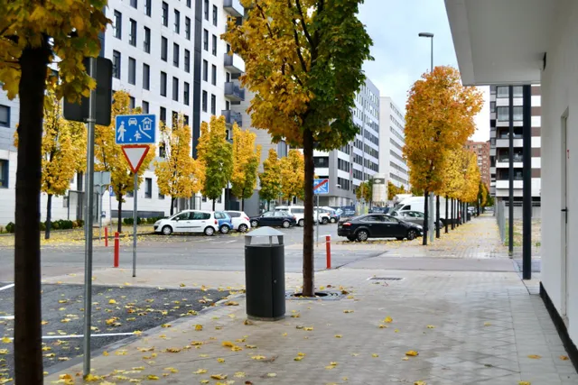 LOCAL COMERCIAL EN PAMPLONA - LEZKAIRU — 9