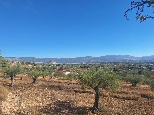 Finca rústica con olivos, almendros y vistas al castillo, a 3 km de Castalla — 10.000 € — 8