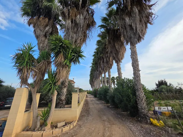 Espectacular finca rústica con proyecto de construcción y licencia en Los Montesinos — 34