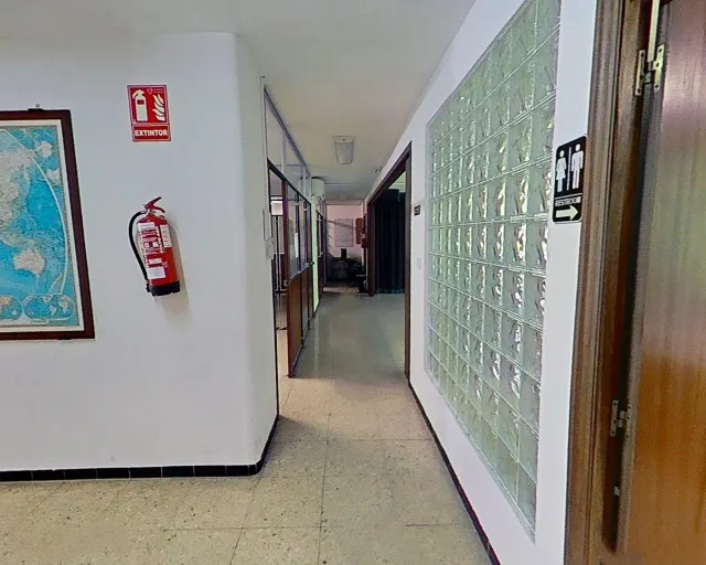 Estupendo local  en centro de Elche — 15