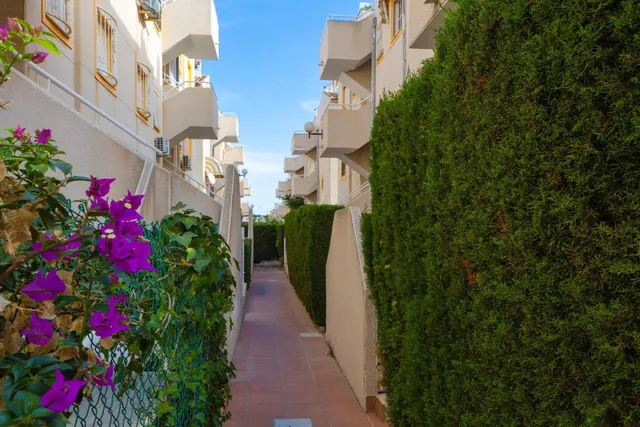 Luminoso apartamento, con gran solárium privado y vistas, en "La Mata", Torrevieja — 45