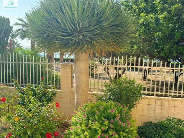 CONFORT Y TRANQUILIDAD JUNTO AL MAR EN EL CAMPELLO: APARTAMENTO PERFECTO PARA ESTANCIAS PROLONGADAS — 30
