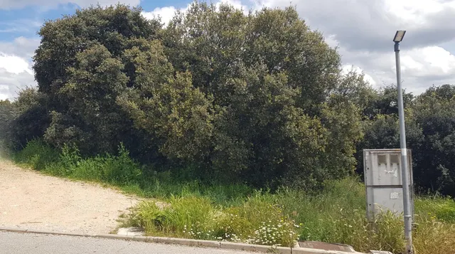 PARCELA DE ESQUINA EN PIOZ — 8
