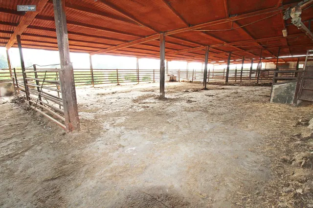 FINCA RÚSTICA EN CAMPANILLAS — 16