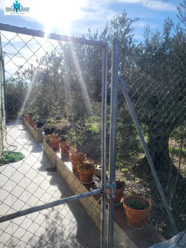 PARCELA EN VENTA ZONA HELLIN - foto 3
