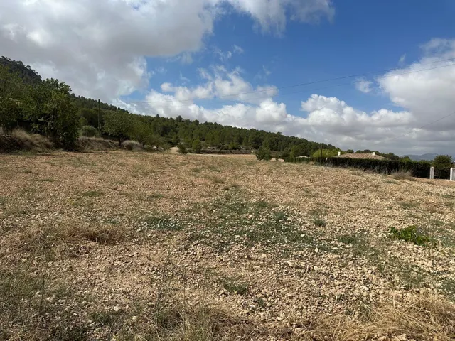 Parcela de 11000 metros — 6