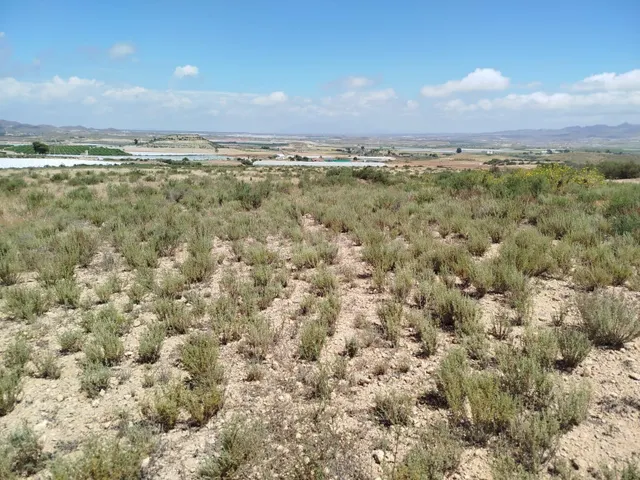 Terreno rural en venta - Leiva - foto 5