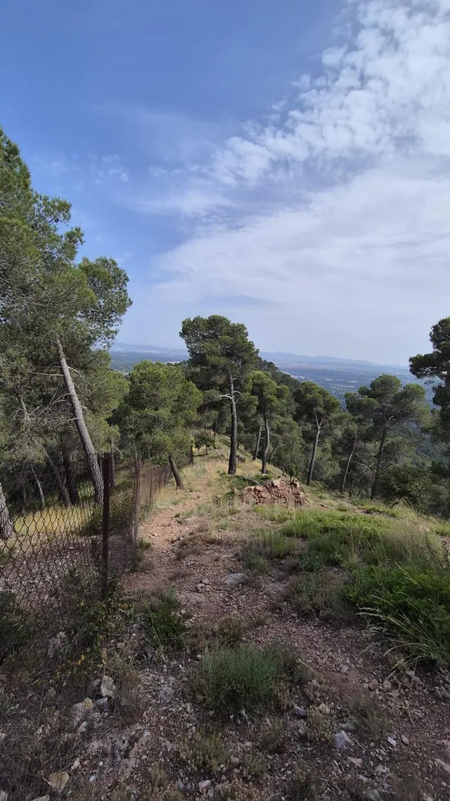 Terreny en venda a Sant Feliu del Racó – Entorn natural i vistes excepcionals — 7