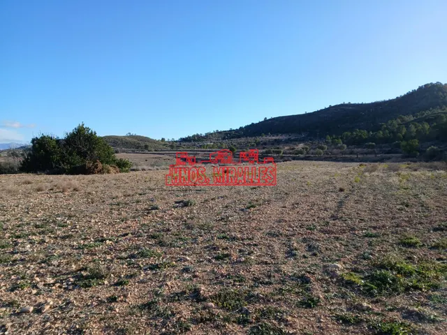 ¡¡ PRECIOSA PARCELA DE 20.300 M2 EN HONDÓN FRAILES !! — 6