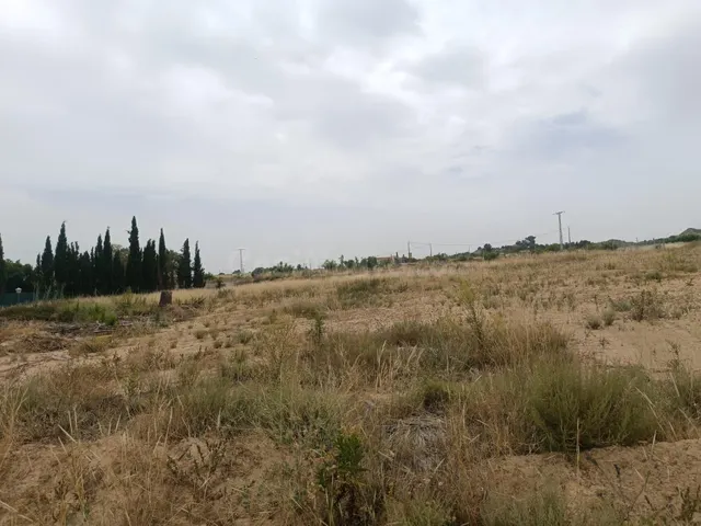 Terreno rural en venta - Sangonera la Seca - foto 4