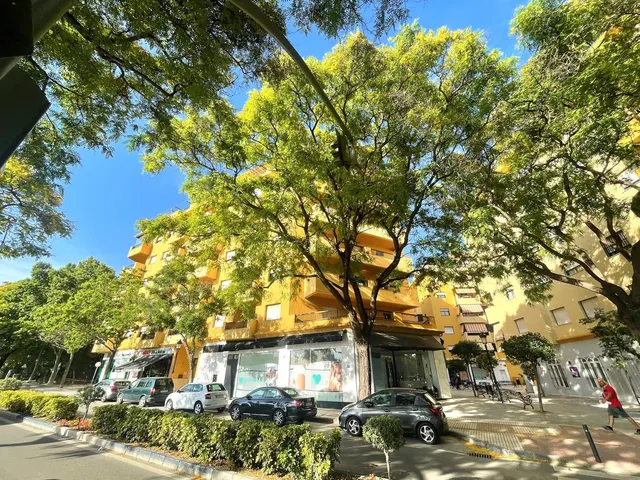 Apartamento 3 habitaciones 202m² en venta - Marbella — 22