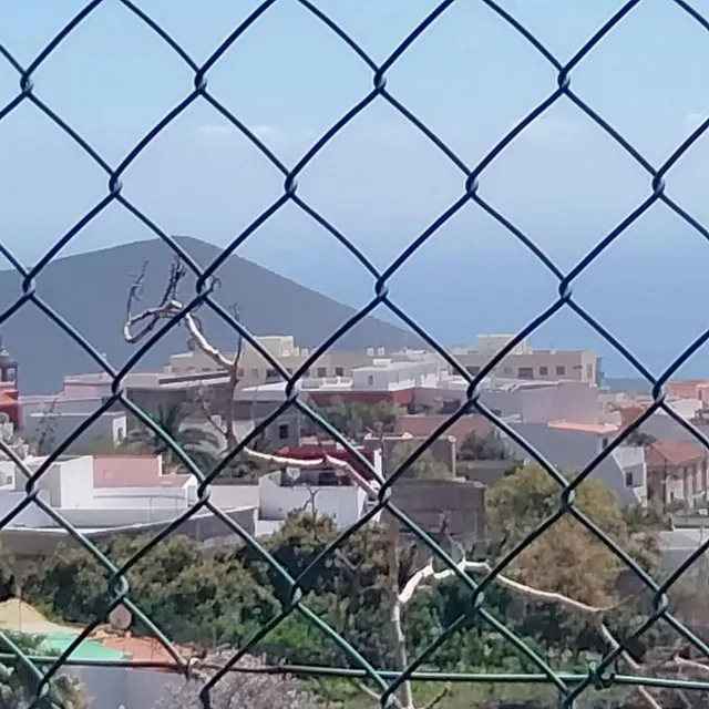 CASA CANARIA LA HOYA — 31