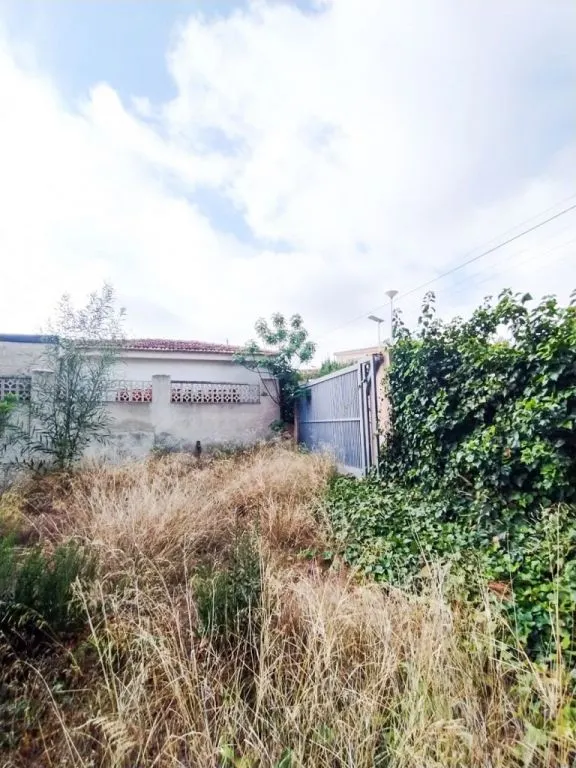 Parcela en venta - Escandinavia — 7