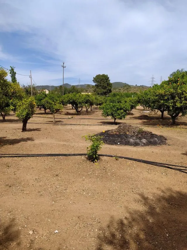 Terreno urbano 41m² en venta - Tortosa