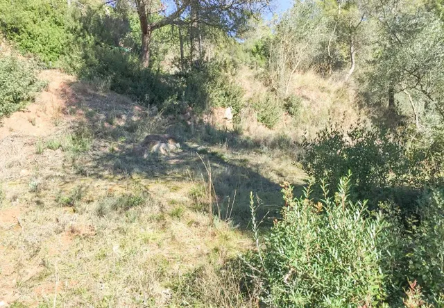 TERRENO URBANO EN RELLINARS DE 946 M2 - ZONA EL PLANET — 27