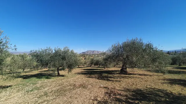Parcela en venta - Costa del Sol - foto 5