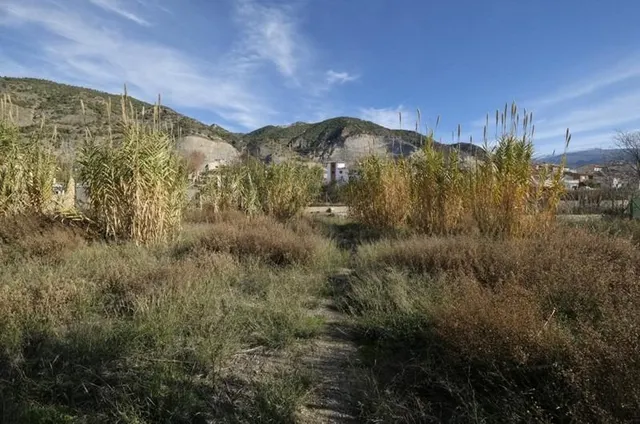 Gran parcela en Padul — 18
