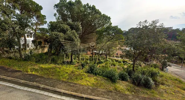 Dos terrenos edificables se pueden comprar juntos o por sepa