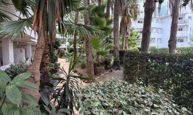 Planta baja de 2 habitaciones con terraza en complejo con pi - foto 5