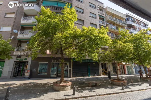 La amplitud que buscas, en el corazón de Granada — 49