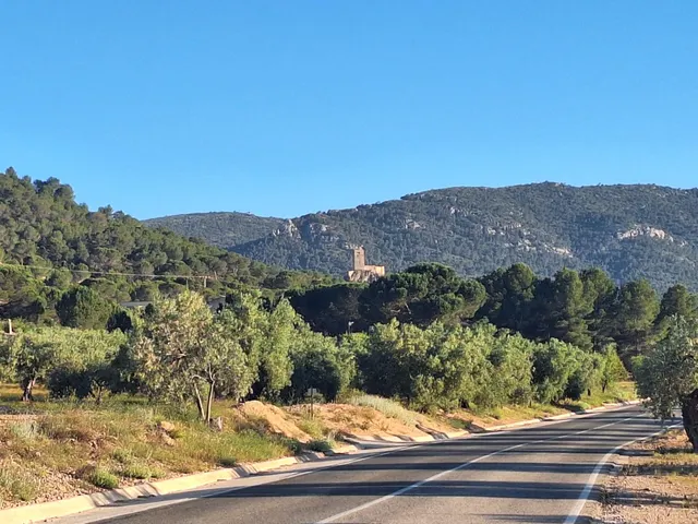 Terreno rústico a solo 3 km de Biar | Posibilidad de construir vivienda y conectar a agua y electricidad — 19