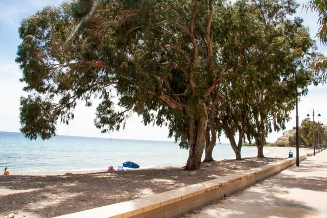 Nueva urbanización a 100 metros del mar. — 12