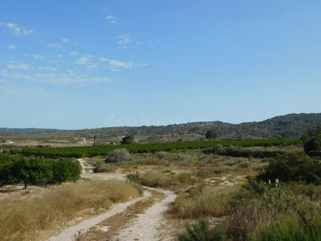 Parcela en venta - Costa blanca sur - foto 5