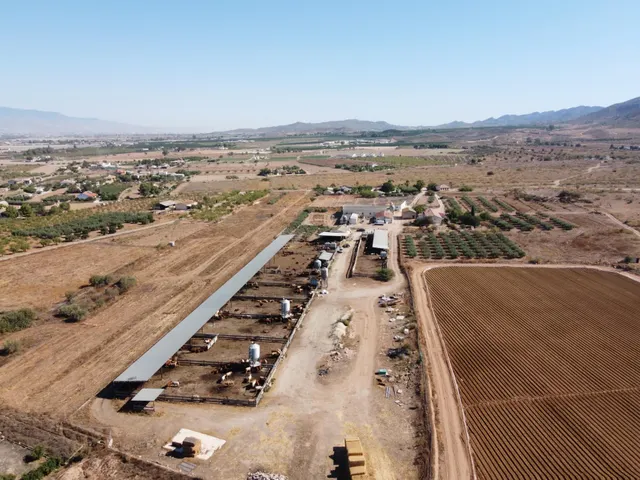 Gran explotación ganadera en lorca: capacidad para 760 cabezas y finca agrícola en producción — 6