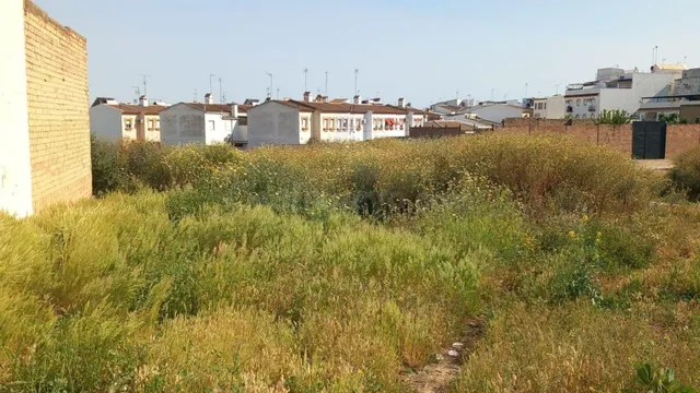 Solar en Bollullos Par del Condado (Huelva)