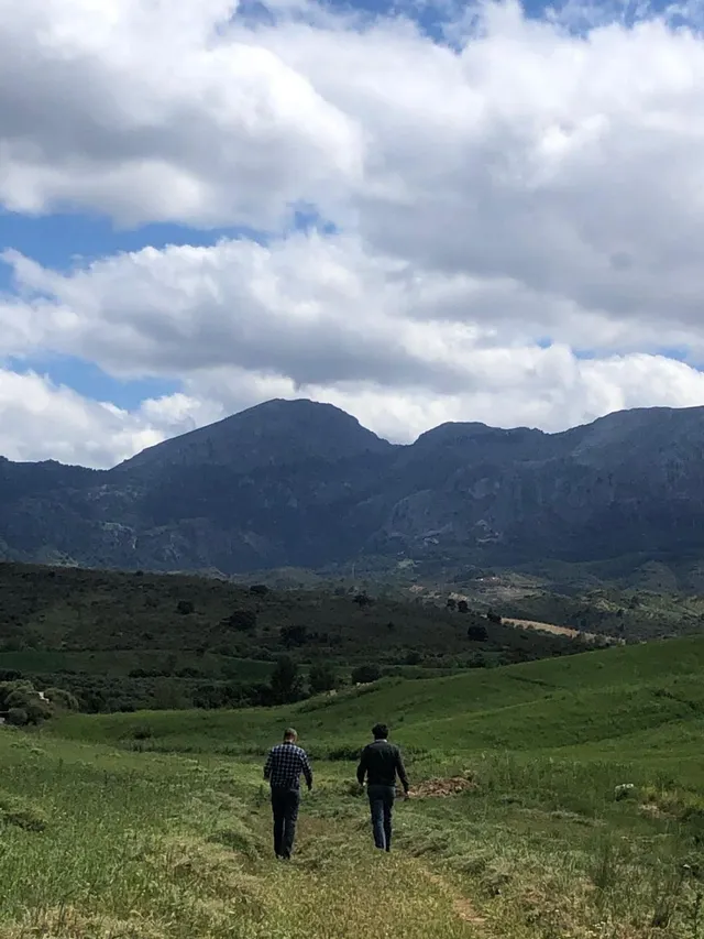 Impresionante finca edificable cerca de Málaga — 15