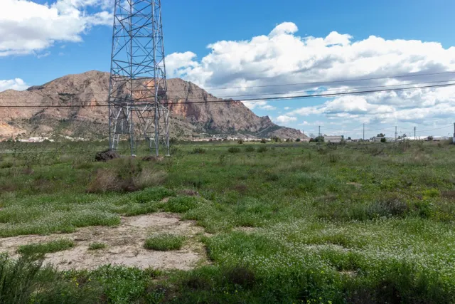 TERRENO DE 13.950 M2 EN ORIHUELA - ZONA POLÍGONO PUENTE ALTO — 4
