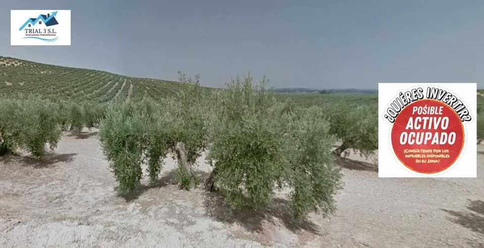 Venta de Finca Rústica en  Torredonjimeno (Jaén)