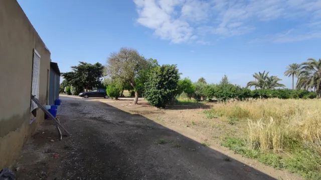 SE VENDE CASA DE CAMPO CON 42.000 M2 DE PARCELA. — 11