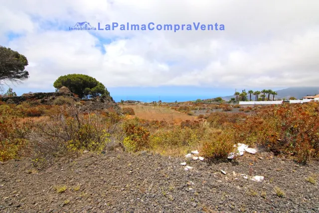 Casa-Chalet en Venta en Paso, El Santa Cruz de Tenerife - foto 5