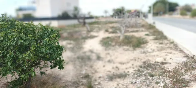 CONSTRUYE TU SUEÑO, TERRENO URBANO - foto 3