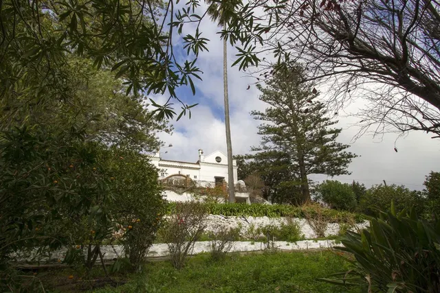CASA SEÑORIAL EN PELAYO - foto 4