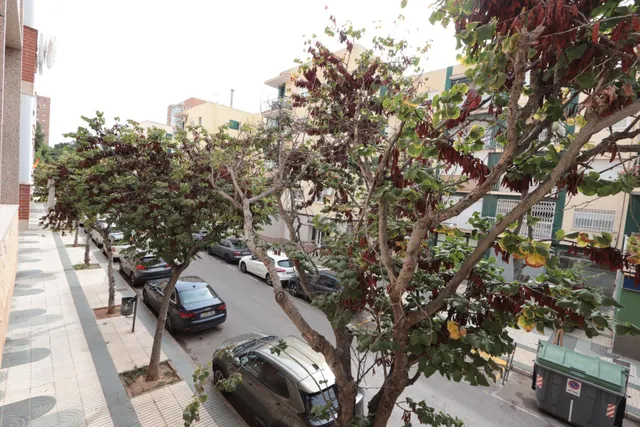 Piso en venta junto a calle Ángel Bruna de 110 m2, 3 dormitorios, baño y aseo, balcon y terraza acristalada — 9