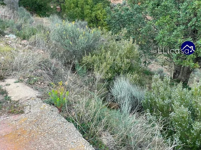 Parcela en venta - Olocau - foto 2